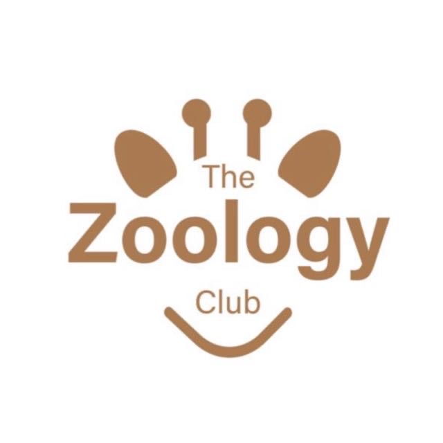 zoo.jpg